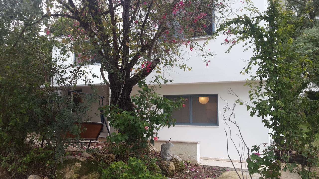 Kibbutz Nachshon Bed & Breakfast Екстериор снимка