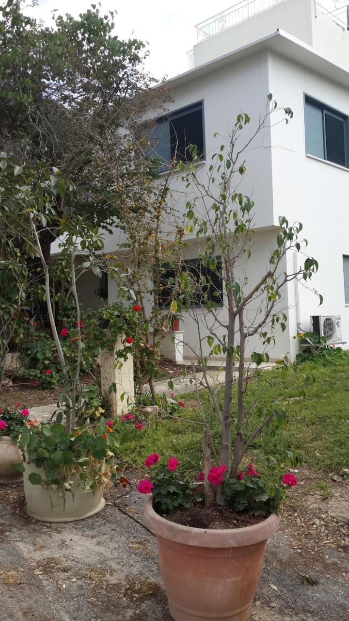 Kibbutz Nachshon Bed & Breakfast Екстериор снимка